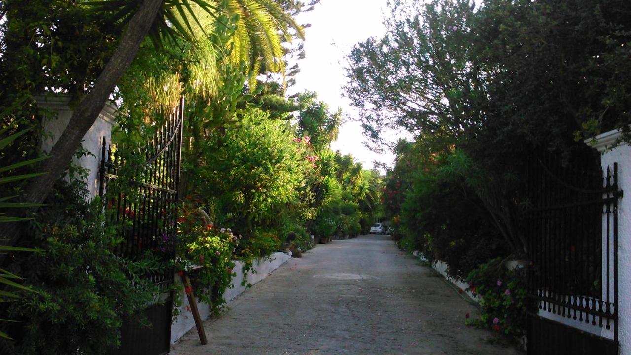 Baha-Ammes Apartment Svoronata Bagian luar foto