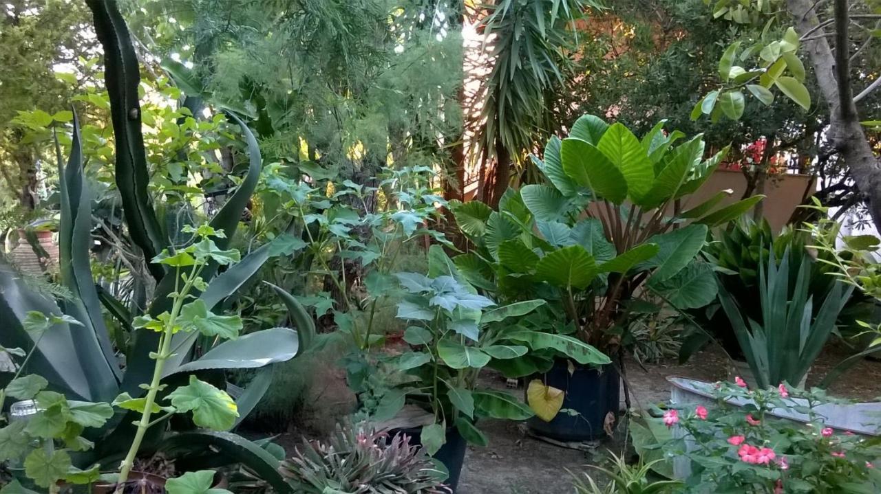 Baha-Ammes Apartment Svoronata Bagian luar foto