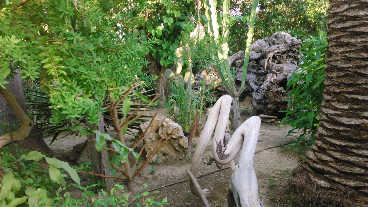 Baha-Ammes Apartment Svoronata Bagian luar foto