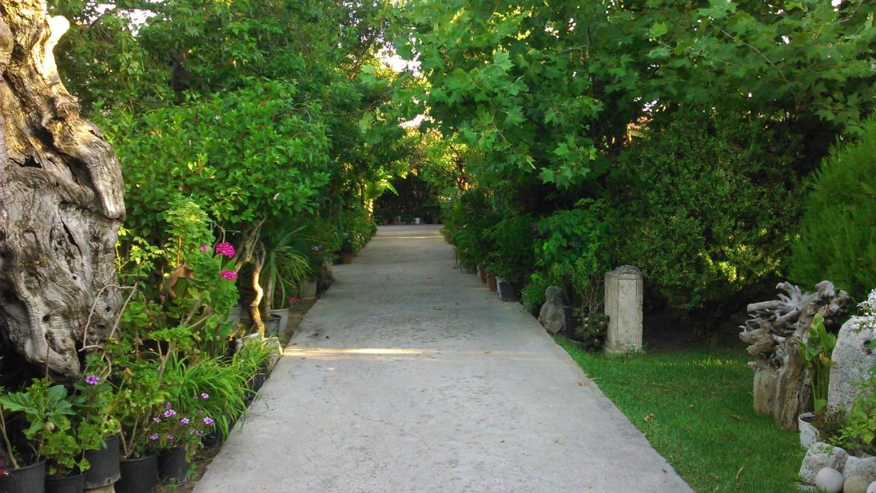 Baha-Ammes Apartment Svoronata Bagian luar foto