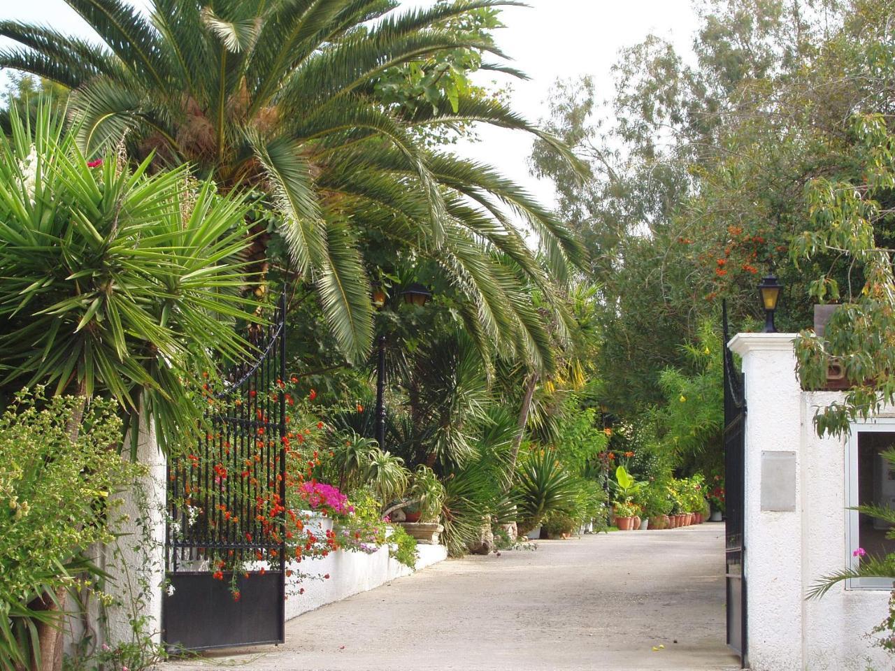 Baha-Ammes Apartment Svoronata Bagian luar foto